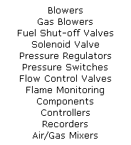 Text Box: Blowers
Gas Blowers
Fuel Shut-off Valves
Solenoid Valve
Pressure Regulators
Pressure Switches
Flow Control Valves
Flame Monitoring
Components
Controllers
Recorders
Air/Gas Mixers
Pilots
Thermocouples

Other Specialties
